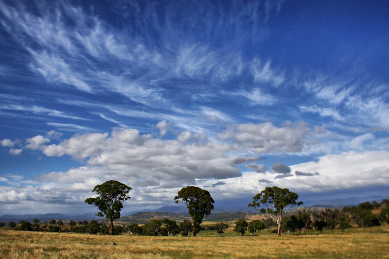 paddocks rain coming.jpg